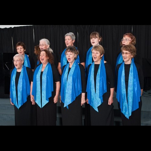 The Sunshine Coast Choir singing in Dress